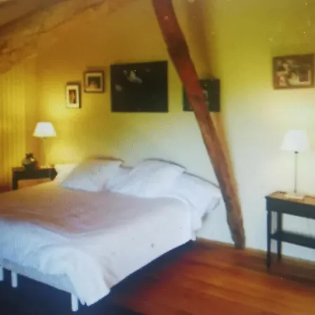 Maison 22 Pers - Piscine, Tennis, Ping-pong, Jeux Enfants, Petanque Entre Nerac Et Condom * Francescas