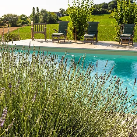 Maison 22 Pers - Piscine, Tennis, Ping-pong, Jeux Enfants, Petanque Entre Nerac Et Condom بيت للعطل